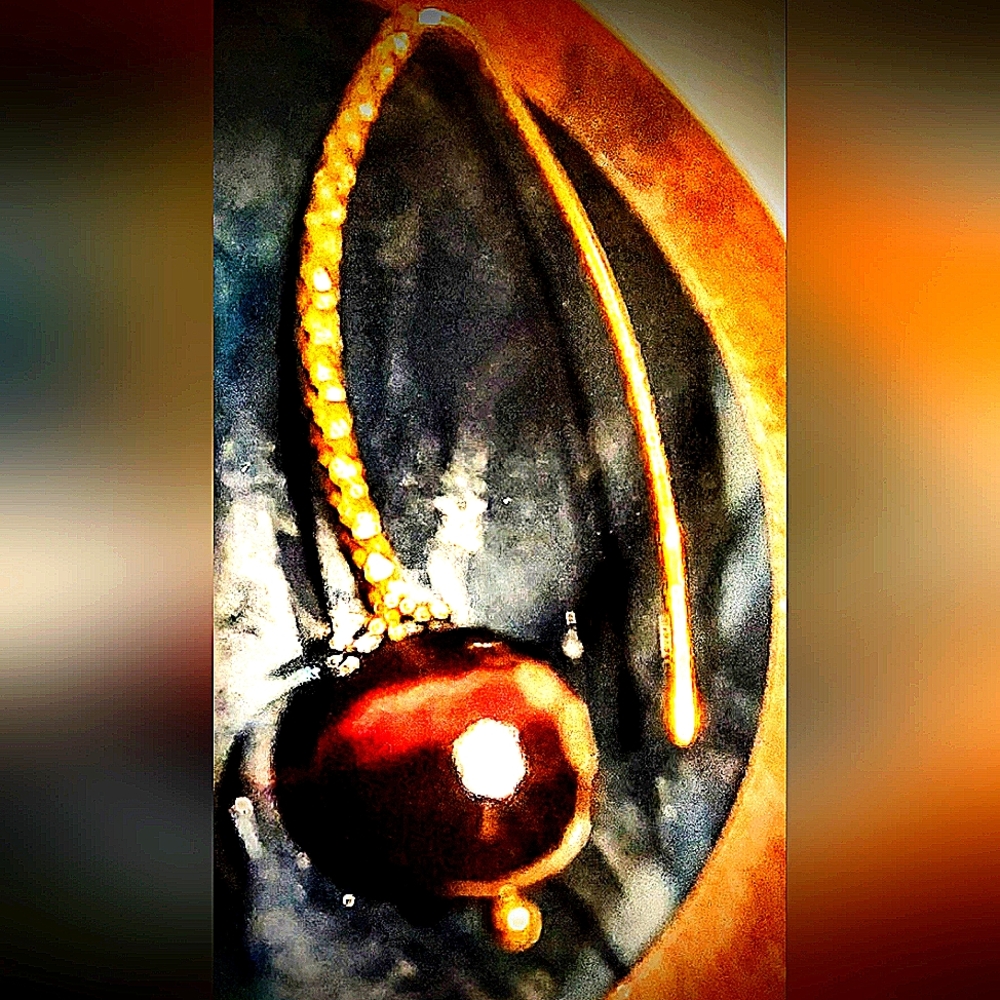 NWT Tiger Eye and gold over silver Earrings